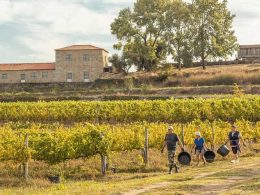 Três quintas no minho entre as melhores em prémio de enoturismo