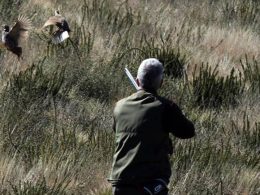 Vila do conde: detidos por caçar junto a posto de comunicações do aeroporto