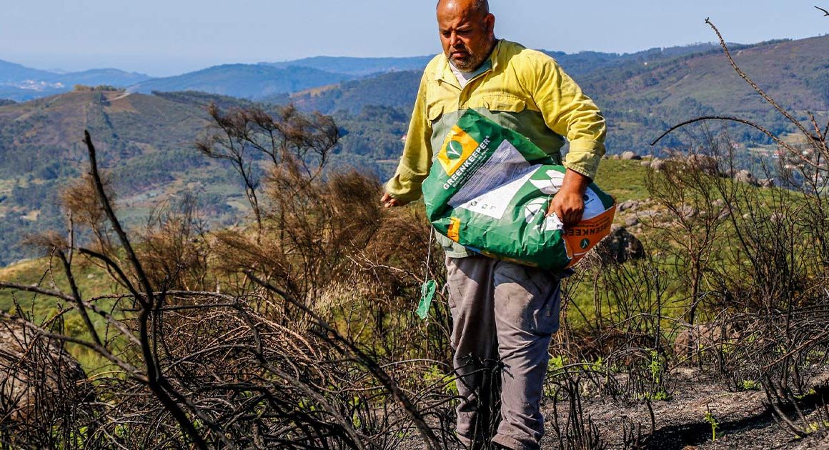 Vila verde faz estabilização de emergência dos terrenos afetados pelos incêndios