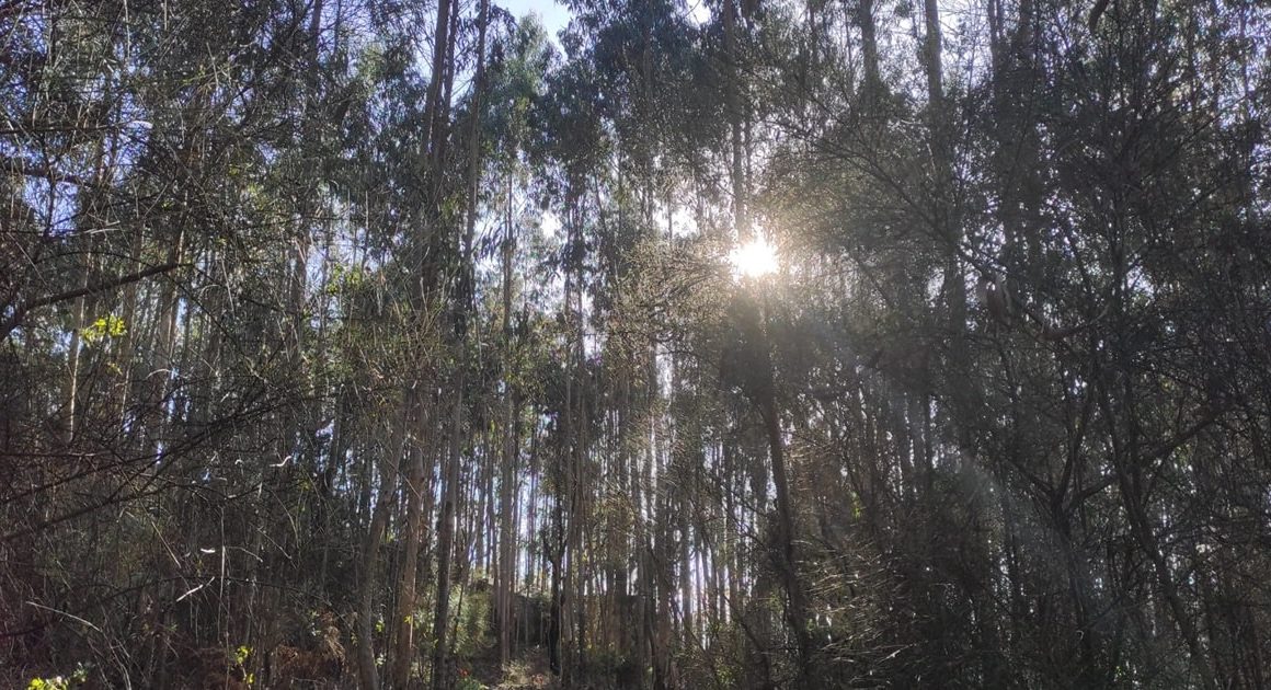 Temperaturas vão descer mais de 10 graus no minho