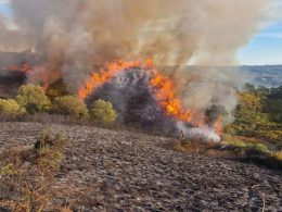 Dois meios aéreos combatem incêndio em fafe