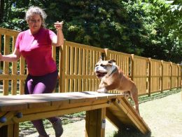 Vai nascer um parque canino em valença