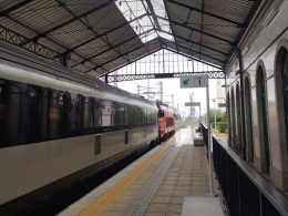 Linha do minho cortada após queda de árvore