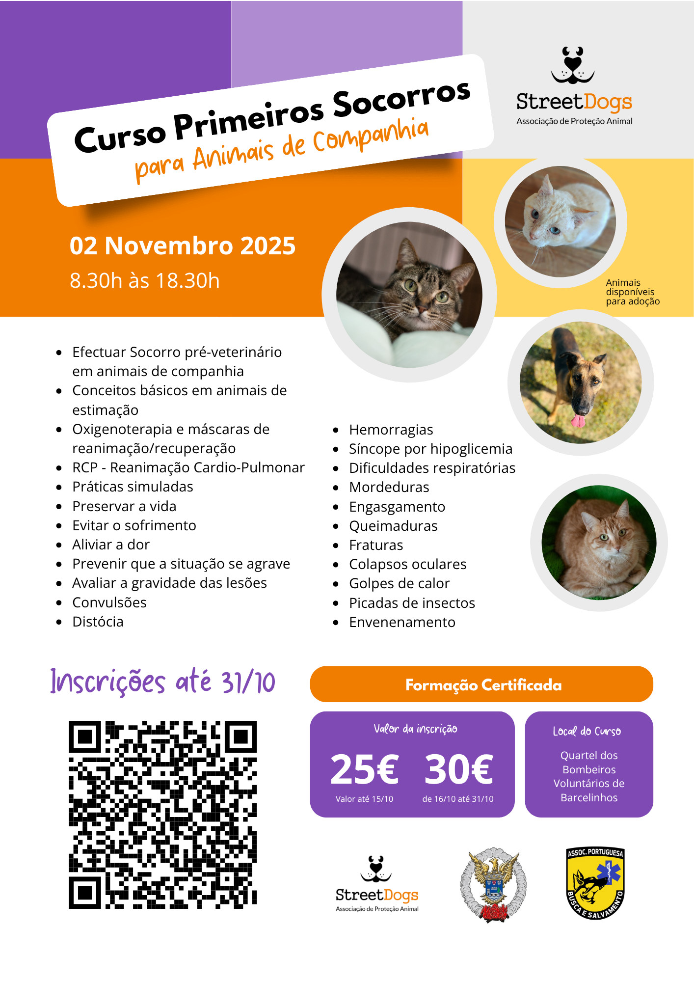 Abertas inscrições para curso de primeiros socorros de cães e gatos em barcelos