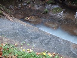 Candidatos do be em braga denunciam descarga poluente no rio este