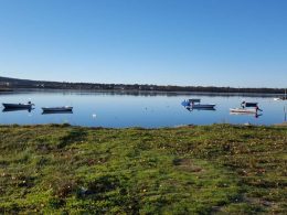 Proibida a captura de moluscos bivalves no rio lima