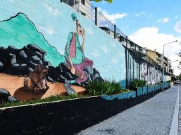 “bicha das 7 cabeças” leva "mistério e tradição" a fafe