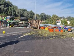 Homem morre em despiste de trator em celorico de basto