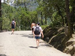 Gerês: estrada da mata de albergaria vai ser pavimentada por 1 milhão de euros