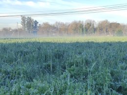 Quarta-feira de sol e frio no minho