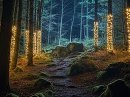 Vai haver mais uma "floresta encantada" no alto minho este natal