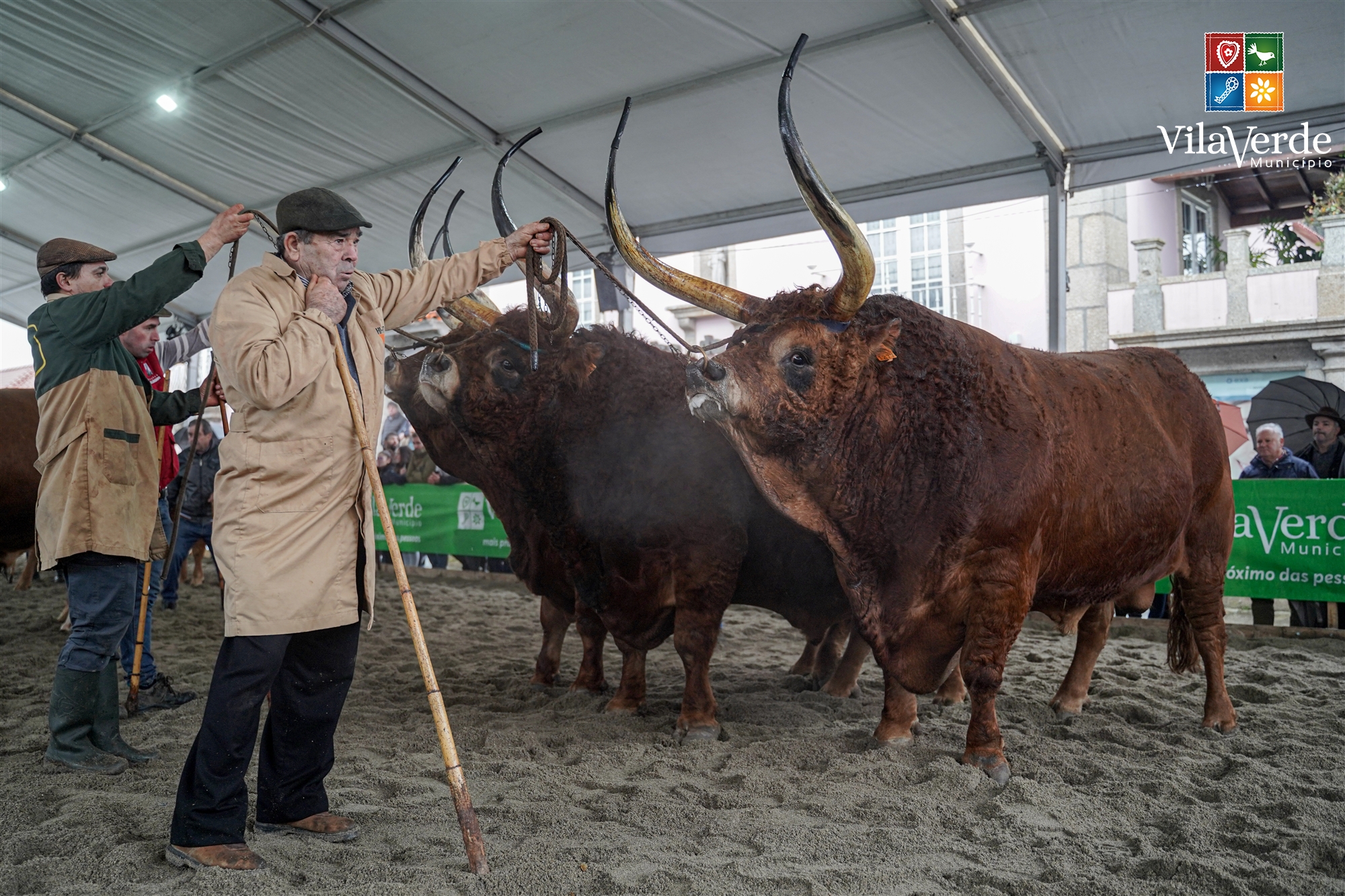 Vila verde voltou a cumprir tradição dos 700 anos