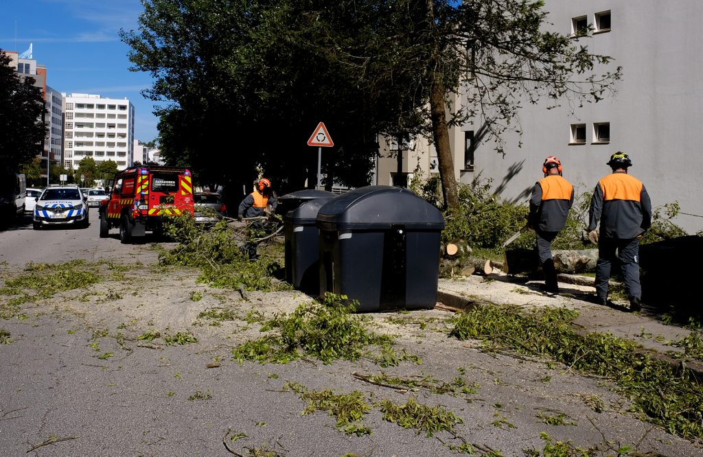 Árvore cai em cima de um carro em Viana do Castelo 71 Árvore cai em cima de um carro em Viana do Castelo