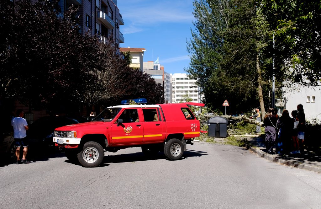 Árvore cai em cima de um carro em Viana do Castelo 70 Árvore cai em cima de um carro em Viana do Castelo