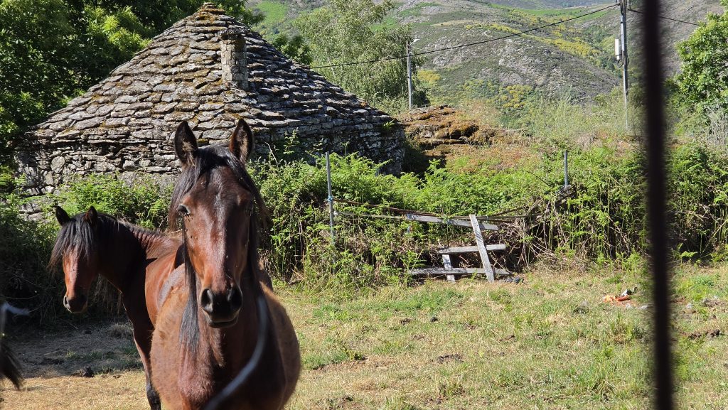 A ‘aldeia dos hobbits’ do Alto Minho só tem um habitante mas ainda se vai festejar o Santo António